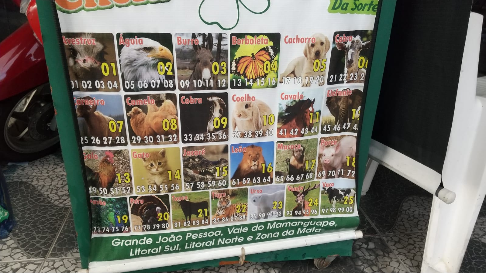 WhatsApp Image 2022-04-27 at 03.15.42 (1).jpeg