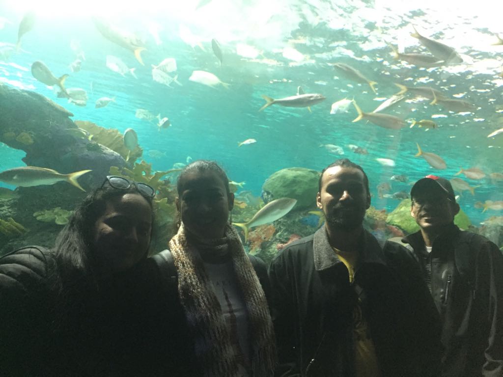 WhatsApp Image 2017-10-31 at 8.11.45 AM.jpeg