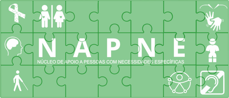 logo NAPNE2.png
