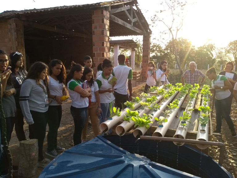 Foto 8 Aquaponia.jpg