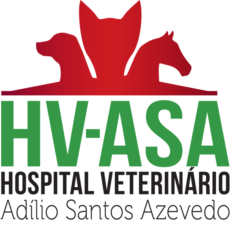 HVet Colorida PNG